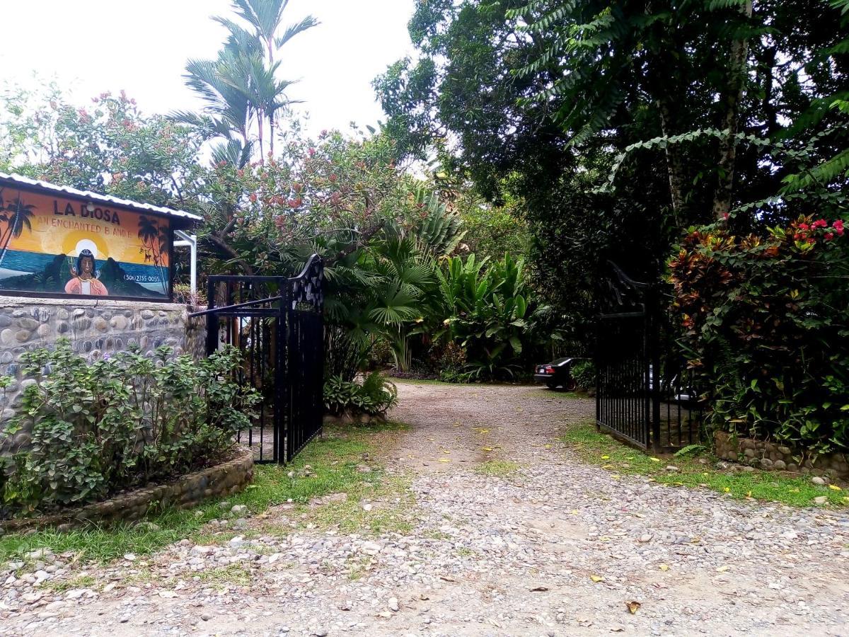 Hotel La Diosa Cahuita Extérieur photo