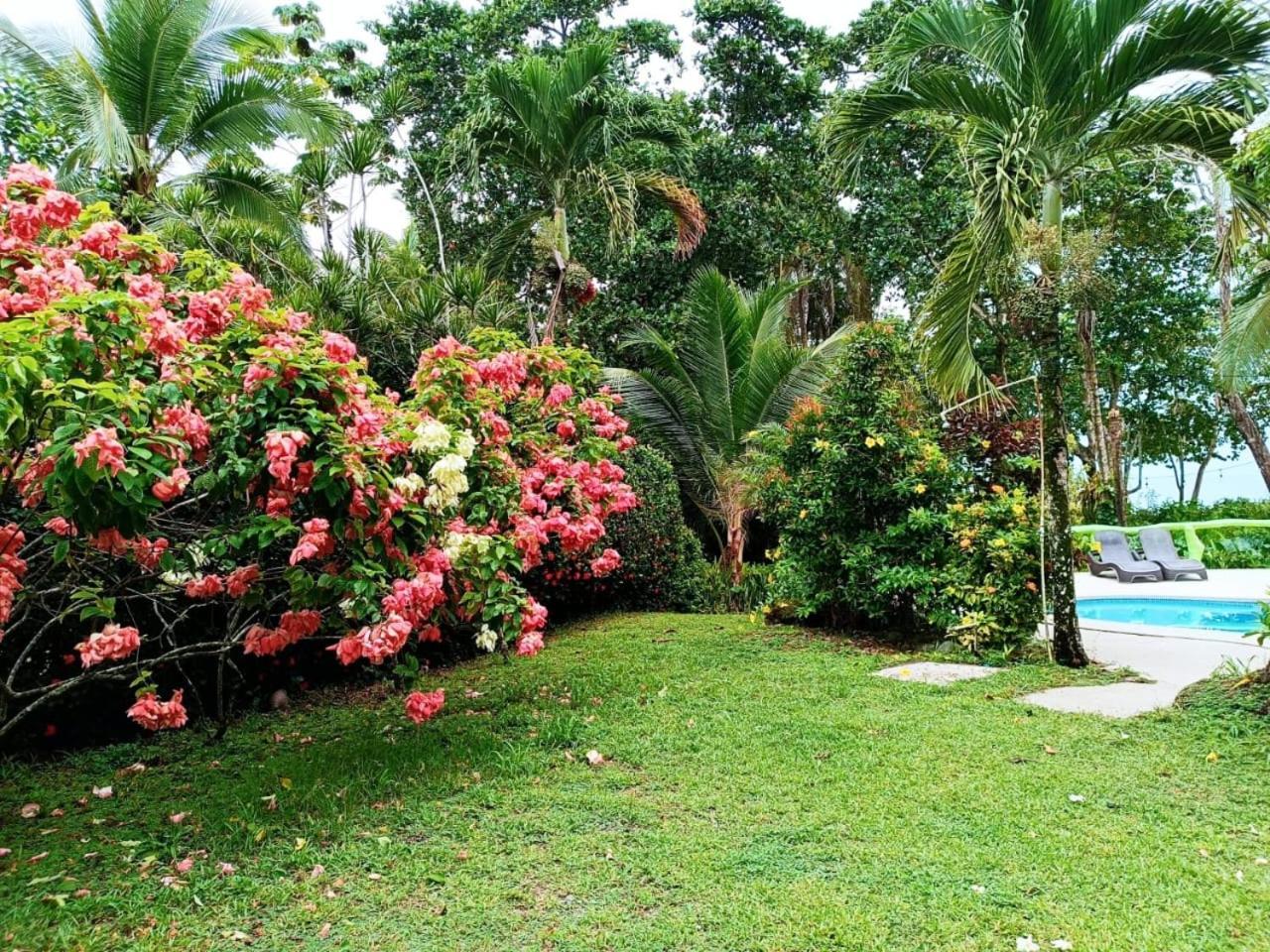 Hotel La Diosa Cahuita Extérieur photo