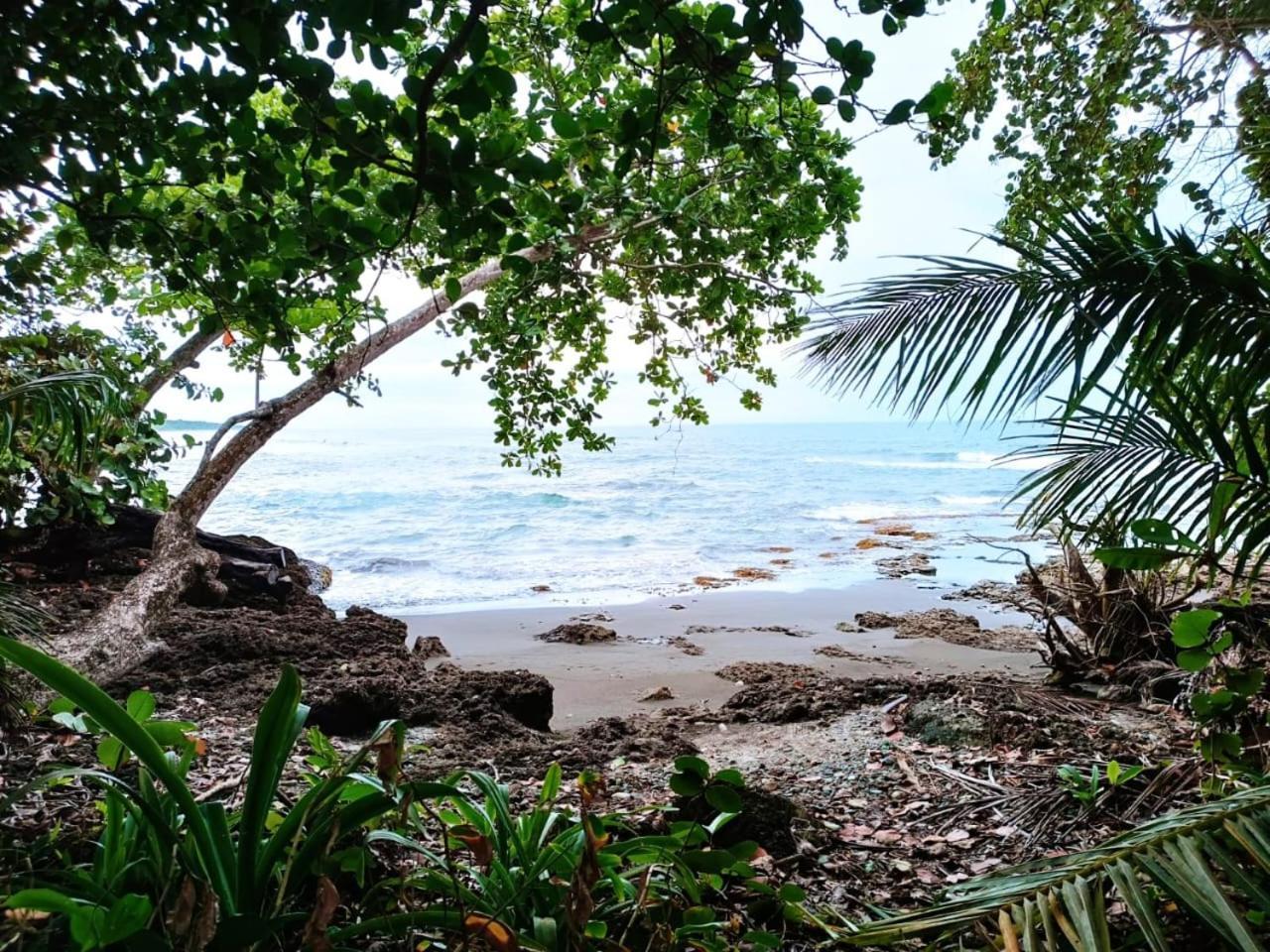 Hotel La Diosa Cahuita Extérieur photo