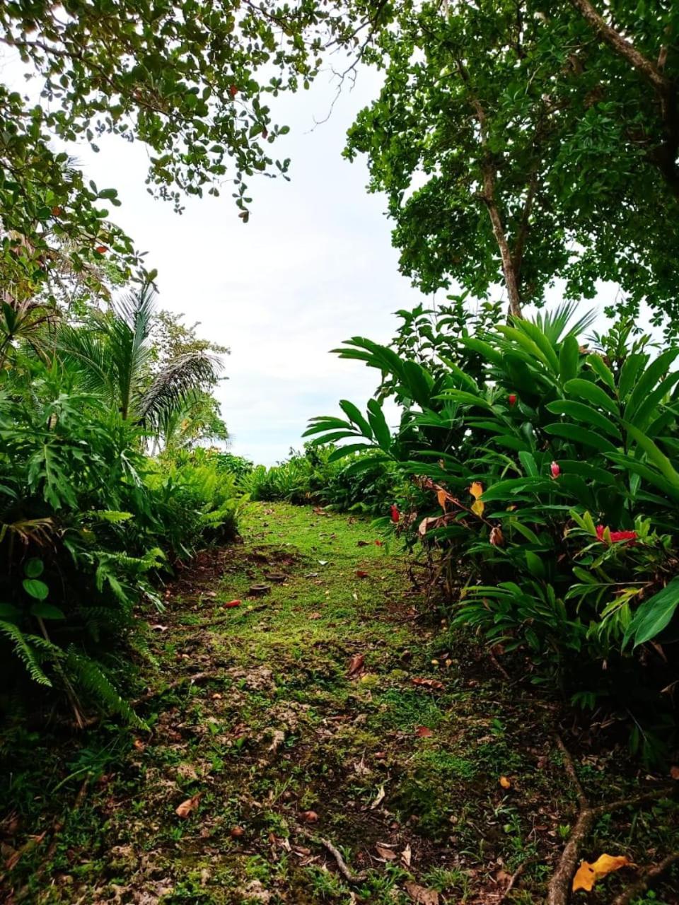 Hotel La Diosa Cahuita Extérieur photo