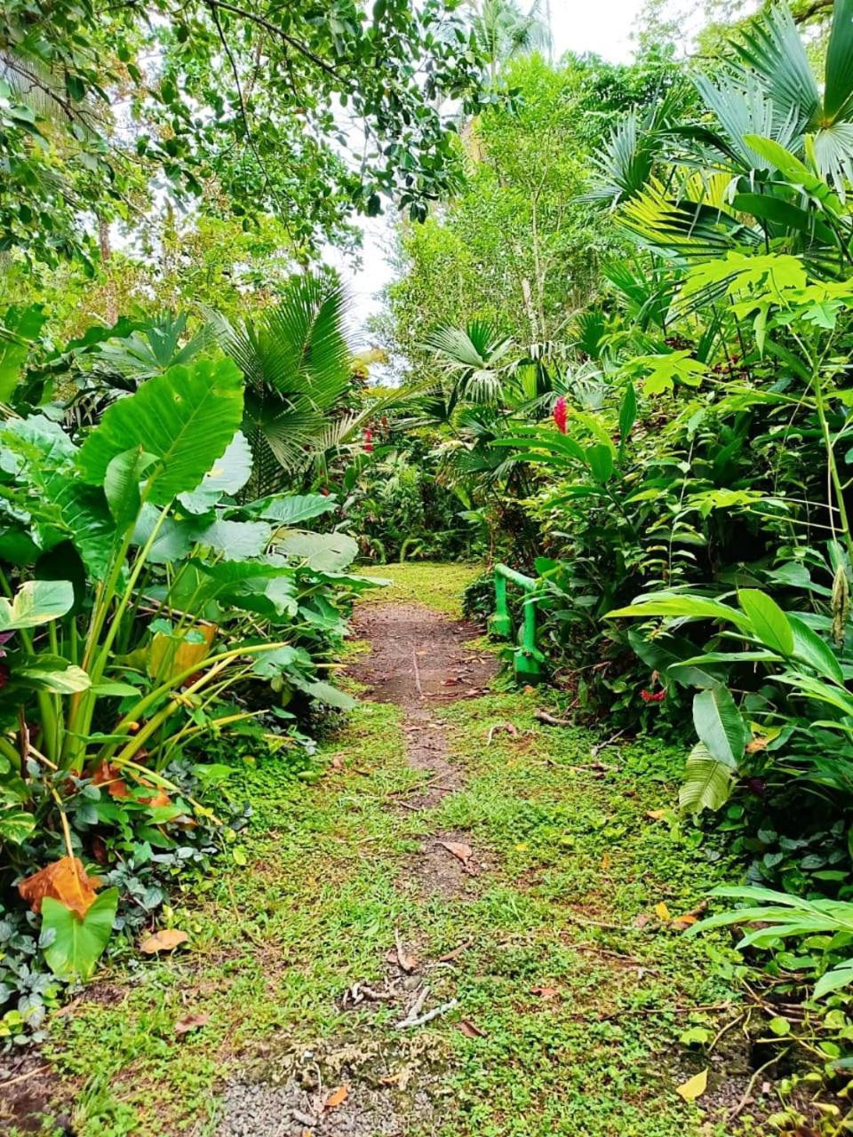 Hotel La Diosa Cahuita Extérieur photo