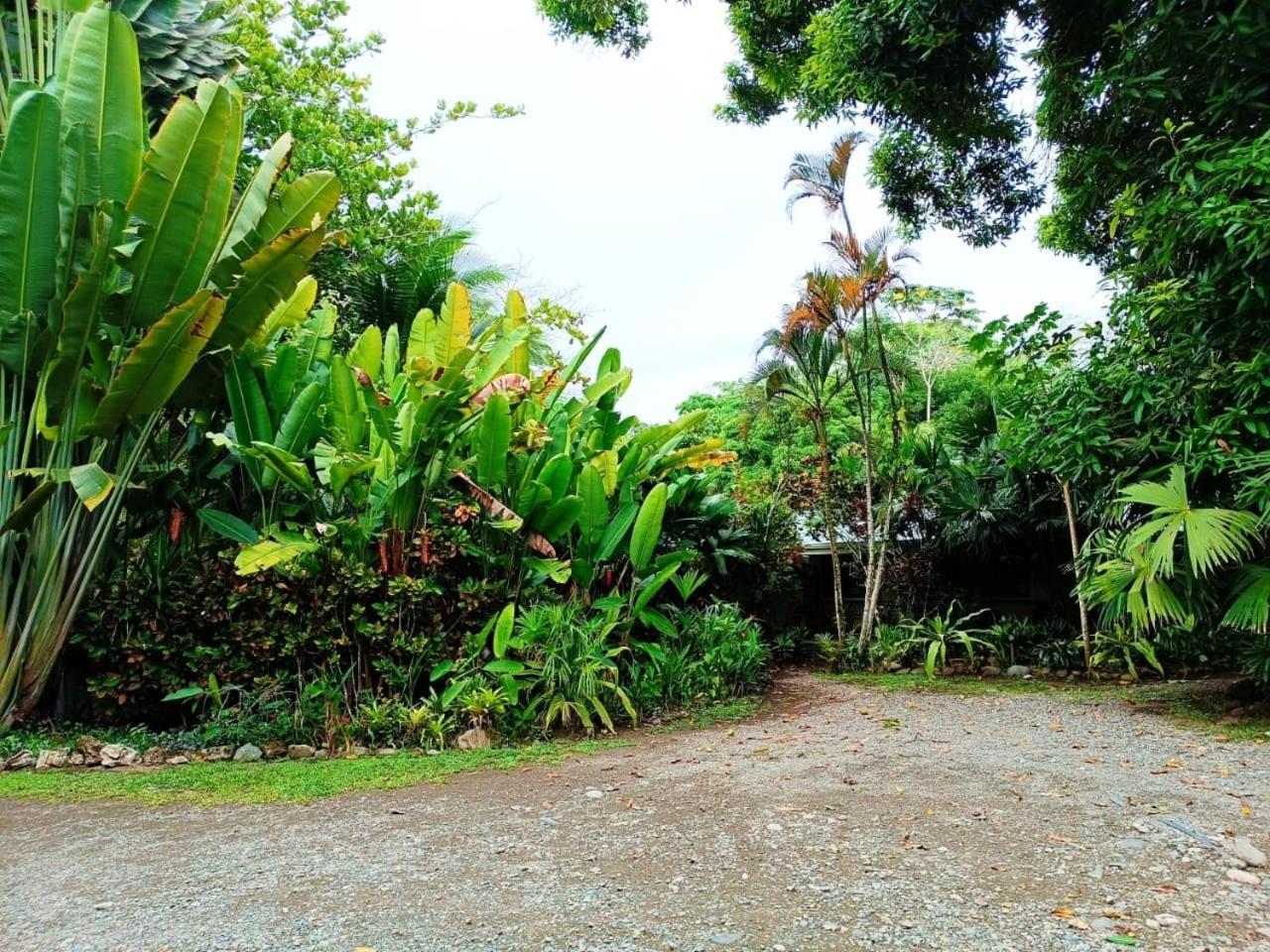 Hotel La Diosa Cahuita Extérieur photo